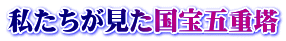私たちが見た国宝五重塔