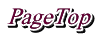 PageTop