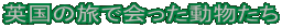 p̗ŉ
