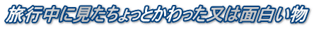 旅行中に見たちょっとかわった又は面白い物