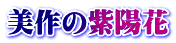 美作の紫陽花