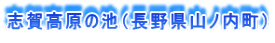 志賀高原の池（長野県山ノ内町）