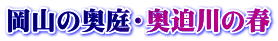岡山の奥庭・奥迫川の春