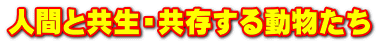 人間と共生・共存する動物たち