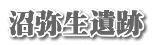 沼弥生遺跡