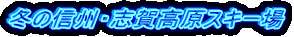 ~̐MBEuꍂXL[