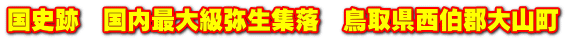 国史跡　国内最大級弥生集落　鳥取県西伯郡大山町