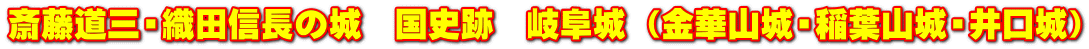 斎藤道三・織田信長の城　国史跡　岐阜城 （金華山城・稲葉山城・井口城）