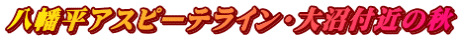 八幡平アスピーテライン・大沼付近の秋