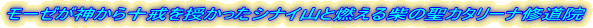 [[_\ViCRƔRĂ̐J^[iC@