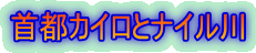 sJCƃiC