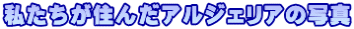 Z񂾃AWFA̎ʐ^