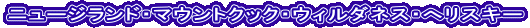 j[WhE}EgNbNEEB_lXEփXL[