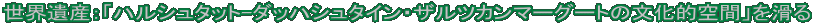 EYFunV^bg-_bnV^CEUcJ}[O[g̕Iԁv