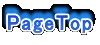 PageTop