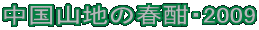 Rn̏tŁE2009