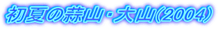 Ă̕fRER(2004)