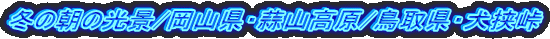 ~̒̌i/REfR/挧E