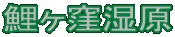 E