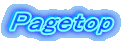 Pagetop