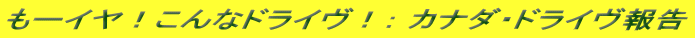 [CIȃhCIF Ji_EhC
