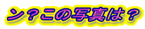 H̎ʐ^́H