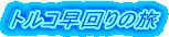 gR̗
